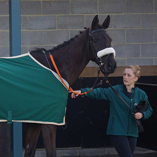 Passing Dream (syndicate: Kingsbere Racing)